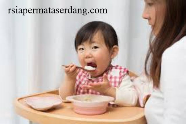 Jadwal MPASI yang Benar untuk Bayi Usia 6-12 Bulan